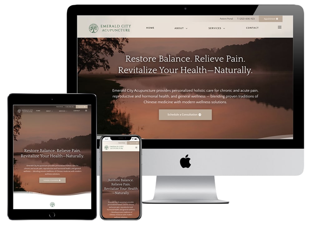 Emerald City Acupuncture Website Portfolio Emerald City Acupuncture Website Portfolio
